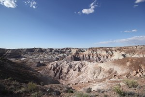 I could have stayed here for hours, but we didn't really have hours ... 