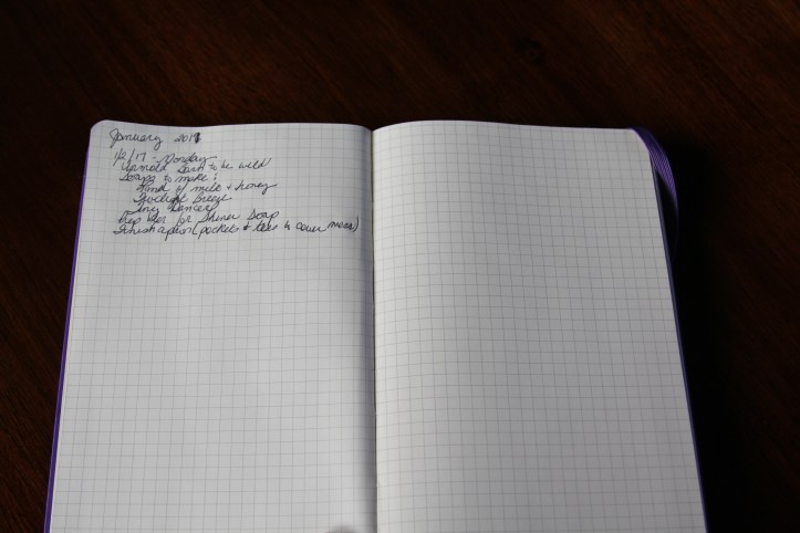 Bullet Journal for the day to day tasks