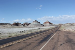 Beautiful, aren't they?